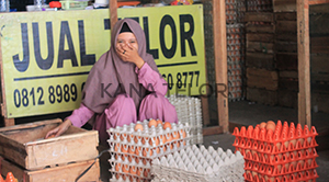 sortir telur
